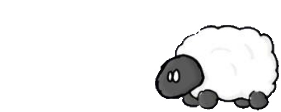 BIGsheep’s Space